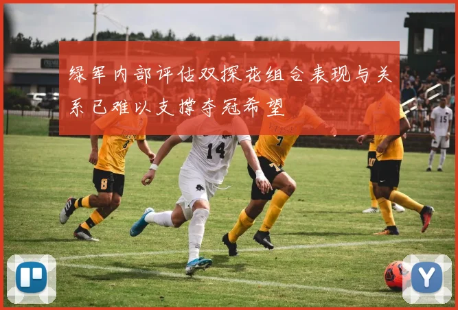 绿军内部评估双探花组合表现与关系已难以支撑夺冠希望